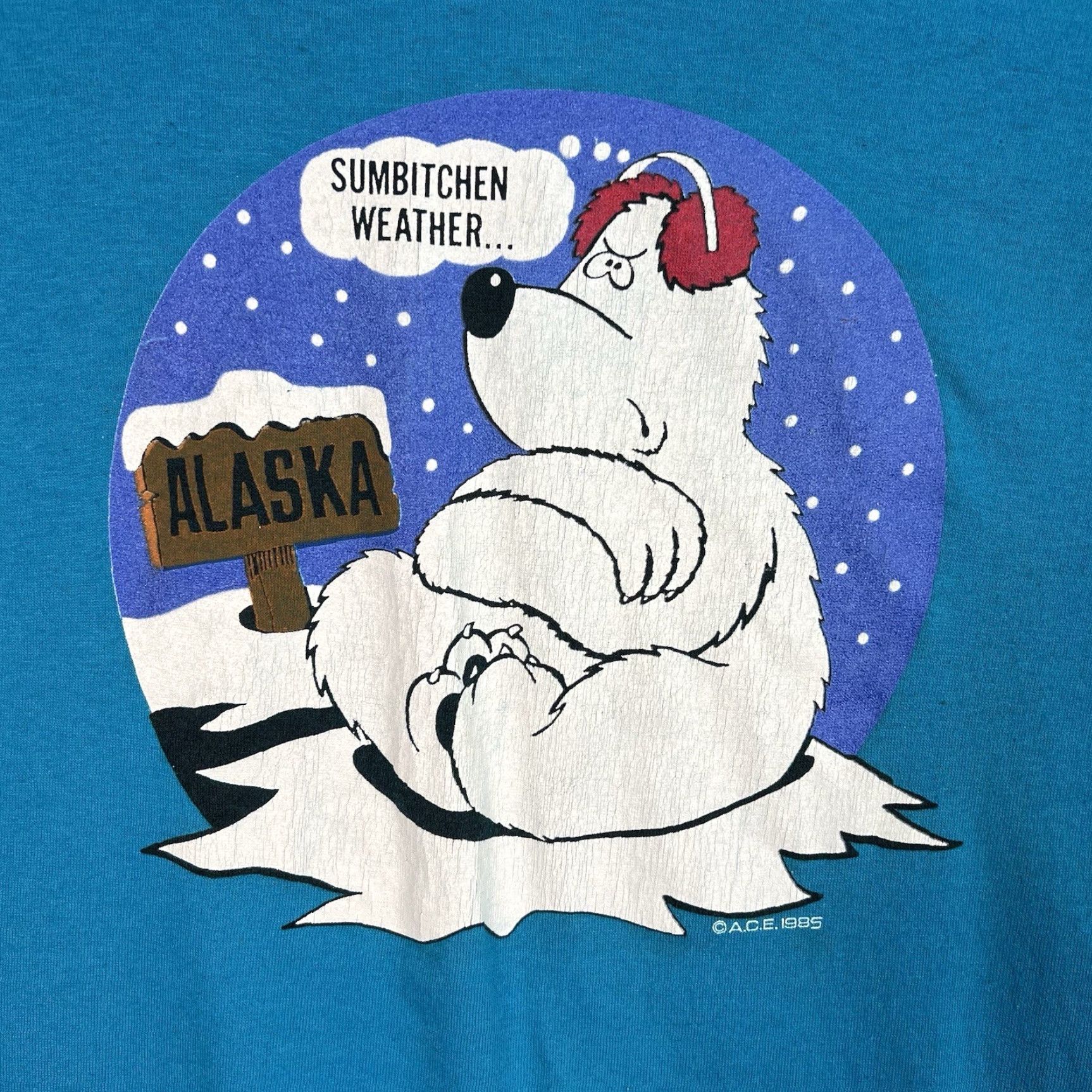 Jerzees VINTAGE 1980s Alaska Sumbitchen Weather T Shirt Mens Large Blue Jerzees Graphic Tee Adult L USA Made Size US L / EU 52-54 / 3 - 4 Thumbnail