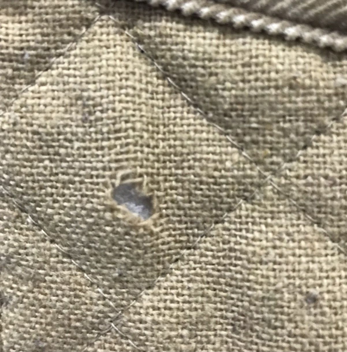 Japanese Brand × Tsumori Chisato × Vintage Issey Miyake Tsumori Chisato Made In Japan Jacket Size US M / EU 48-50 / 2 - 11 Thumbnail