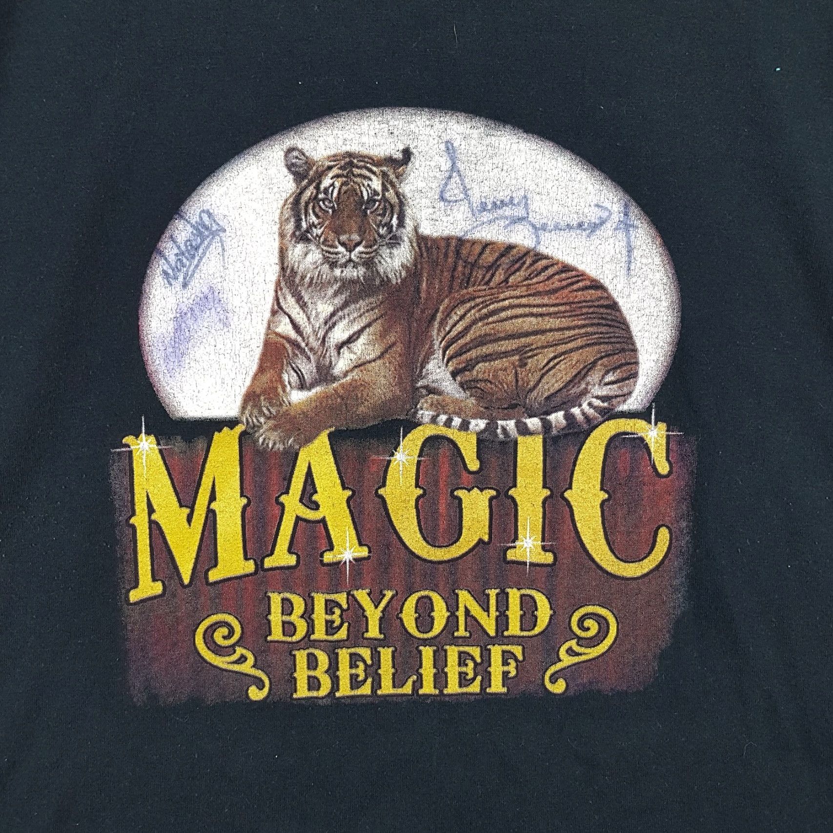 Fruit Of The Loom VINTAGE Fruit of the Loom T-Shirt Men XL Black 90s Y2K Magic Tiger Signed Retro Outdoor Size US XL / EU 56 / 4 - 2 Thumbnail