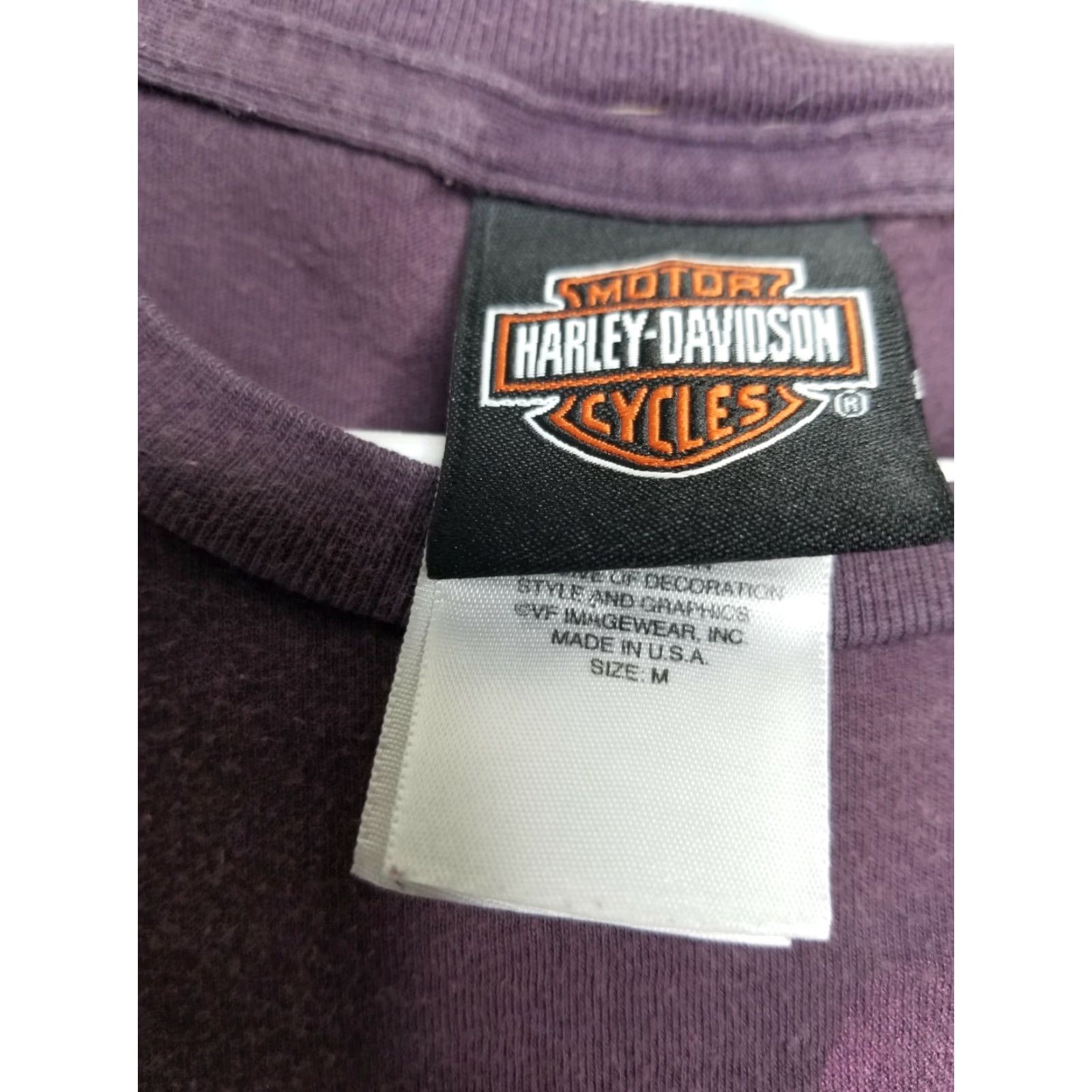 Harley Davidson Harley-Davidson T-Shirt Womens M Purple Heathered Wings Daytona Beach FL Orlando Florida 90s Theme Mens Womens Boys Girls? Size M / US 6-8 / IT 42-44 - 3 Thumbnail