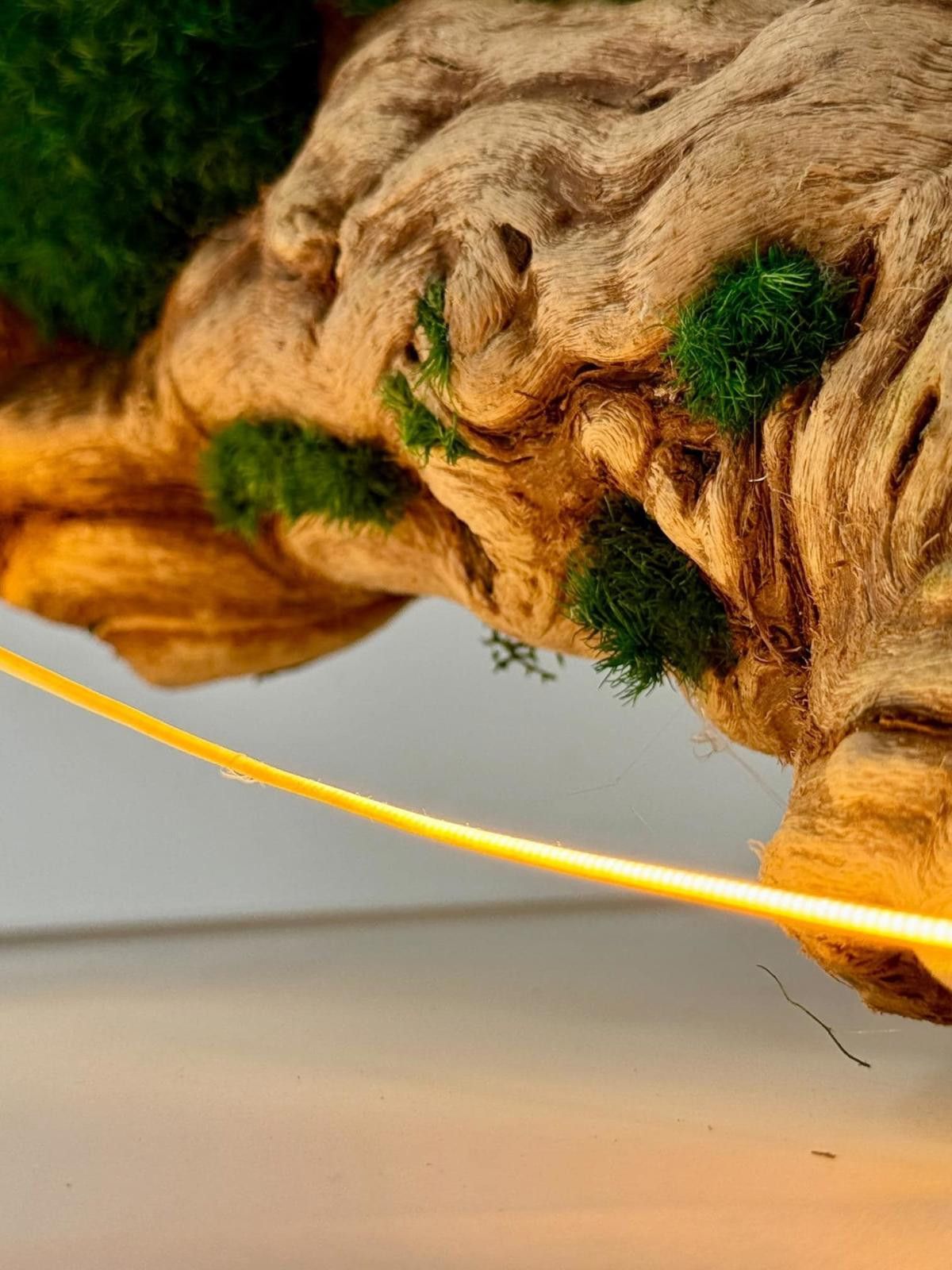 Other Organic Modern Driftwood Table Lamp Sculptural Wood Lighting Size ONE SIZE - 4 Thumbnail