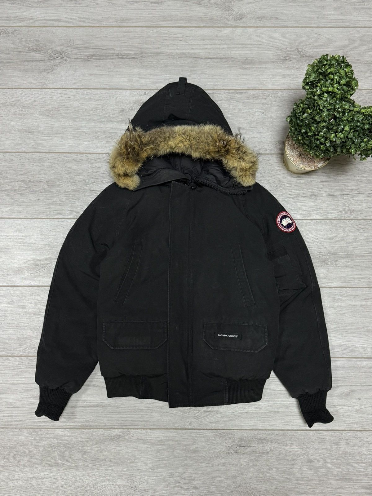 Canada Goose Canada Goose chilliwack bomber fur jacket down Size US S / EU 44-46 / 1 - 1 Thumbnail