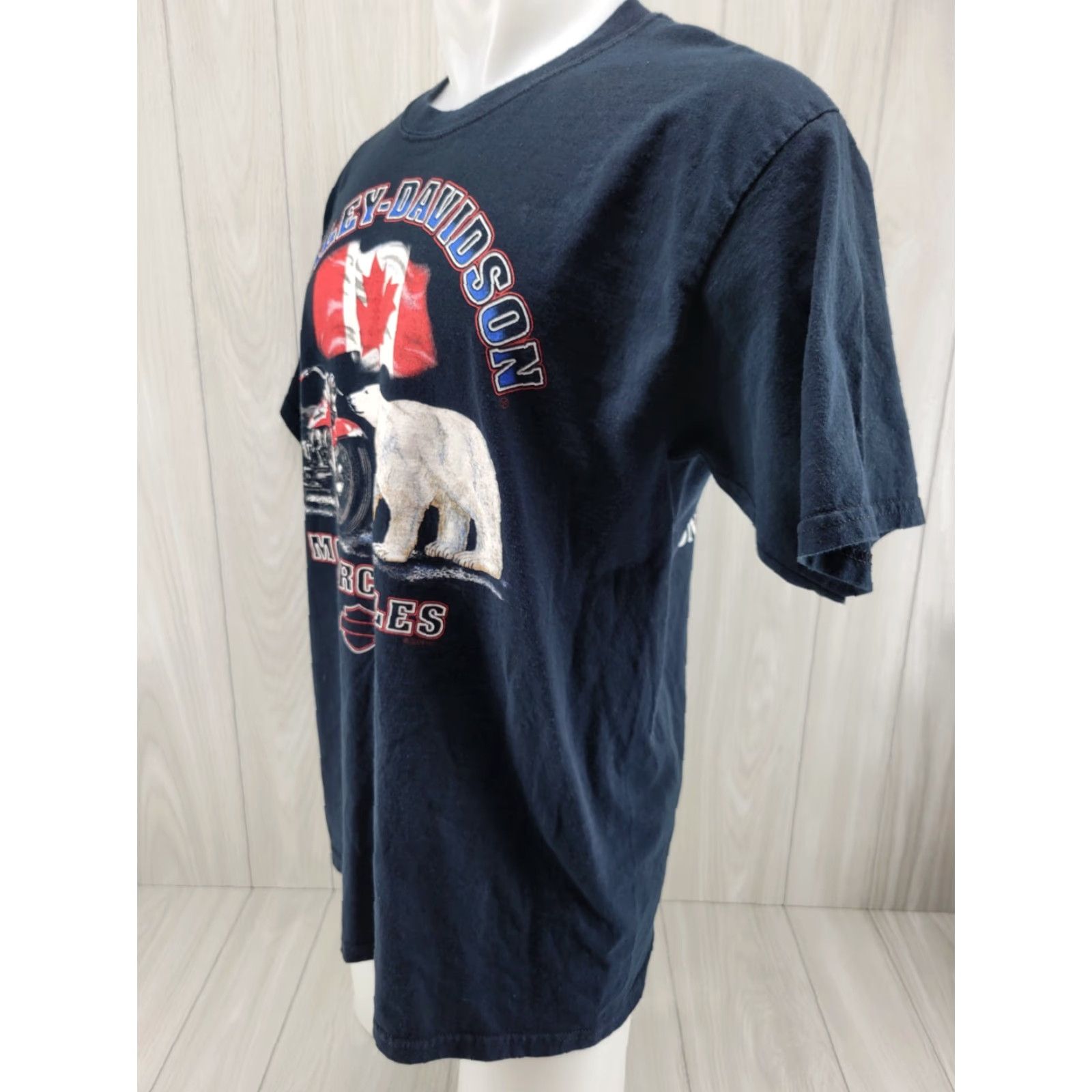 Harley Davidson VINTAGE Harley-Davidson T-Shirt Men 2002 Black Large Eagle Flames Canada Ontario CA TD 2000-2009 Size US L / EU 52-54 / 3 - 3 Thumbnail