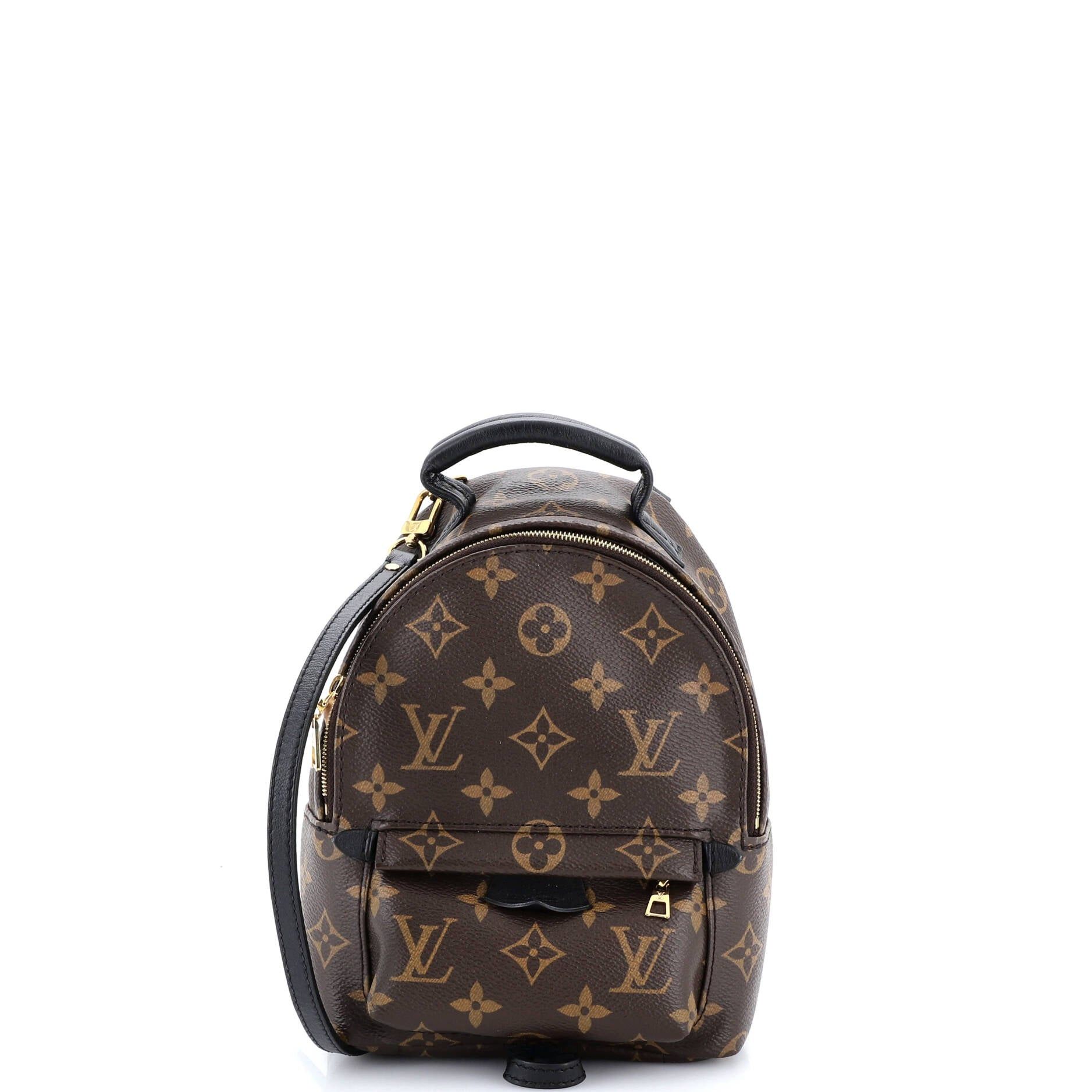 Louis Vuitton Palm Springs Backpack Size ONE SIZE - 1 Thumbnail