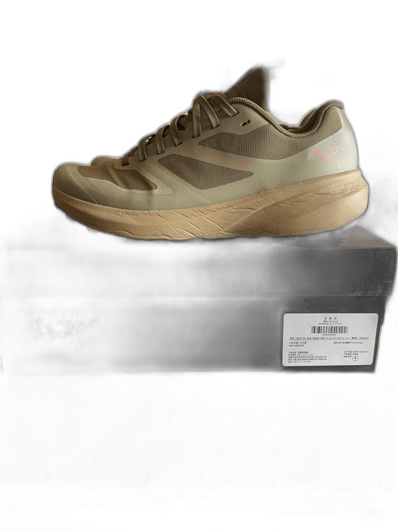 Arcteryx Norvan LD 3 GTX Men's Shoes