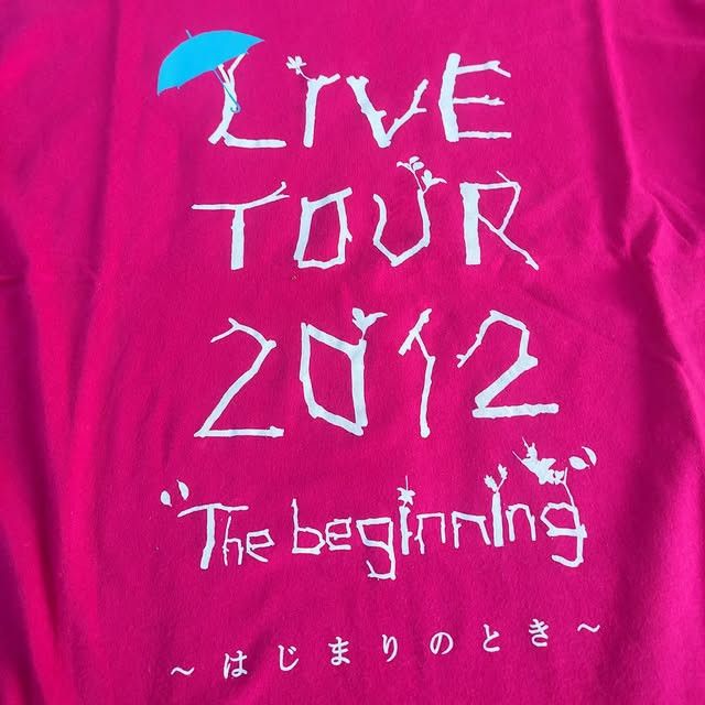 Band Tees Ayaka Japan Singer City Pop 2012 Tee Size US L / EU 52-54 / 3 - 2 Thumbnail