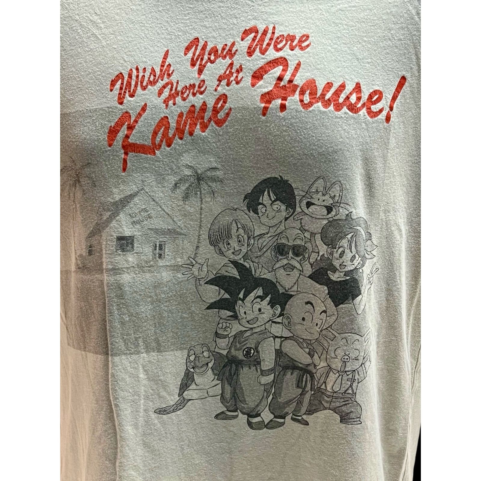 Other Dragon Ball Wish You Were Here Kame House T-Shirt – Goku Sm Size US S / EU 44-46 / 1 - 2 Thumbnail