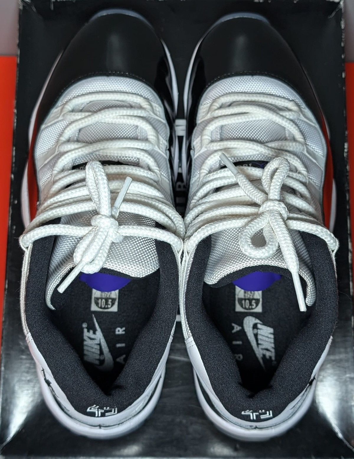Jordan Brand Size 10.5 - Jordan 11 Retro High Concord Size US 10.5 / EU 43-44 - 5 Thumbnail