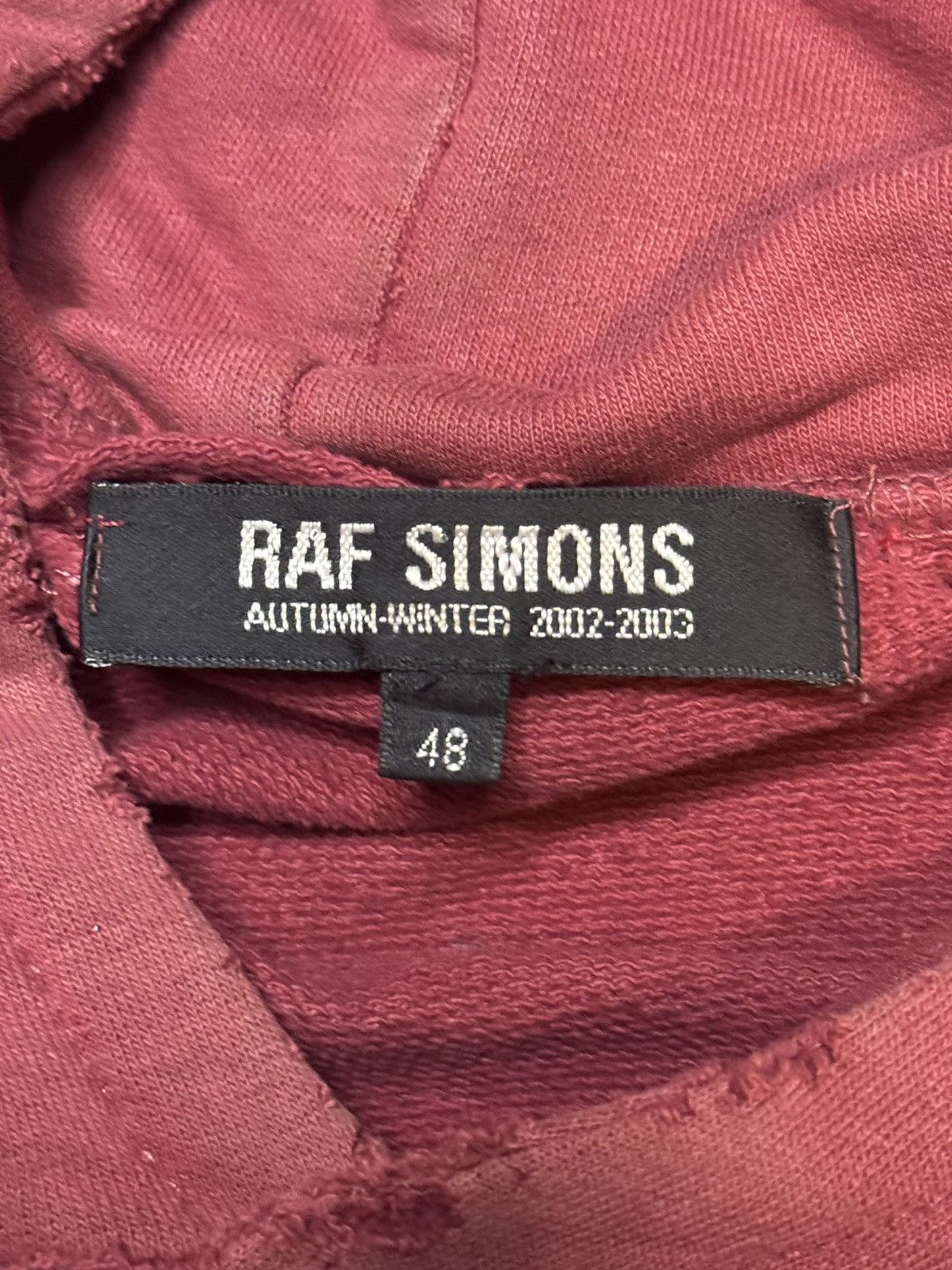 Raf Simons Raf Simons Virginia Creeper Red Roots Hoodie Size US L / EU 52-54 / 3 - 3 Thumbnail