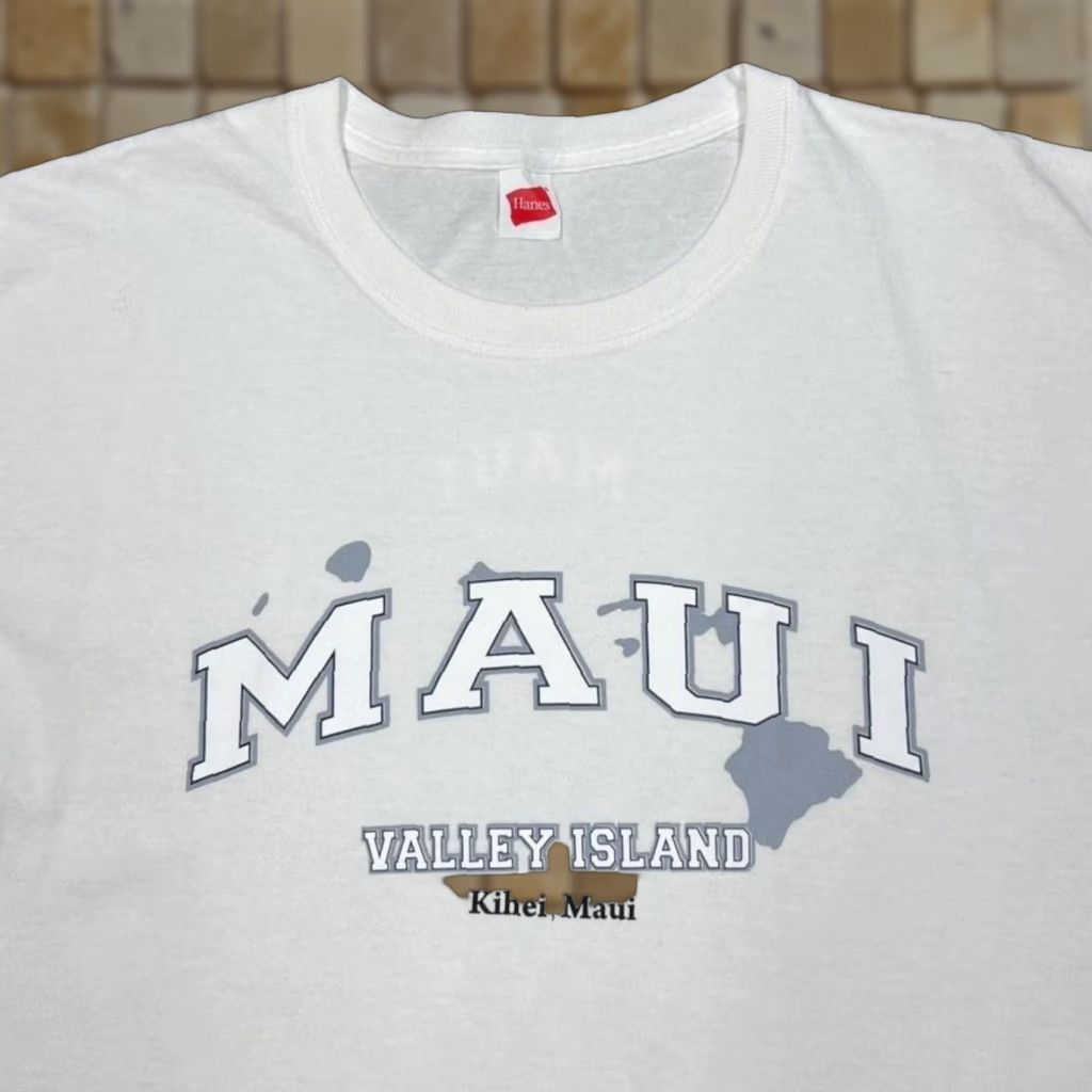 Hanes Hanes Maui “Valley Island” Hawaii Souvenir Spellout Graphic T-Shirt L Men White Vintage 00s Size US L / EU 52-54 / 3 - 1 Thumbnail