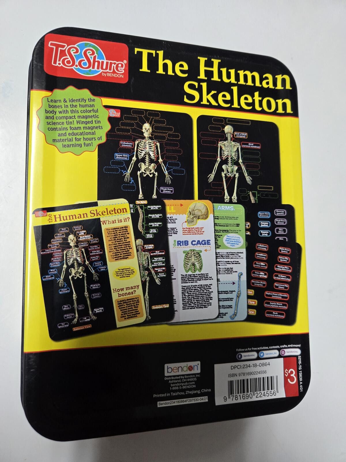Other STEM Shark Human Skeleton Magnetic Kits TS Sure Educational Size ONE SIZE - 8 Thumbnail