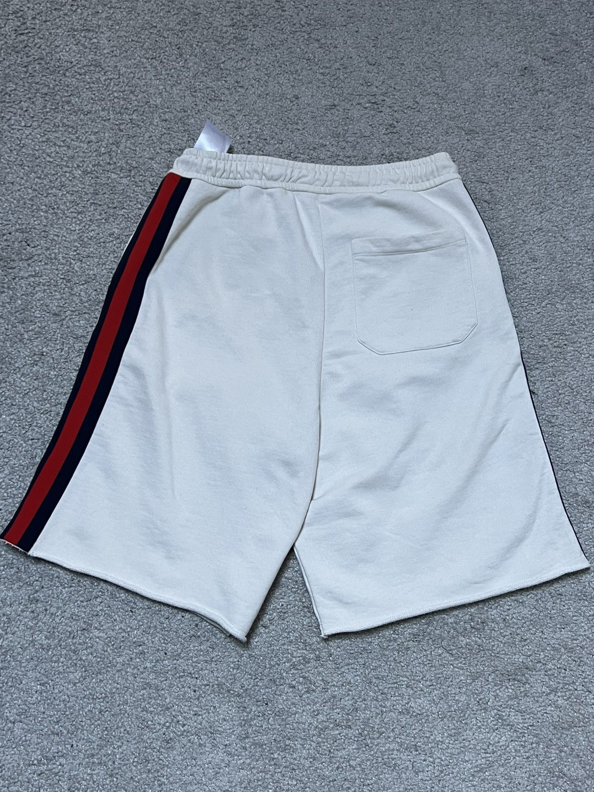 Gucci × The North Face Gucci x The North Face Web Print Shorts Size US 30 / EU 46 - 10 Thumbnail