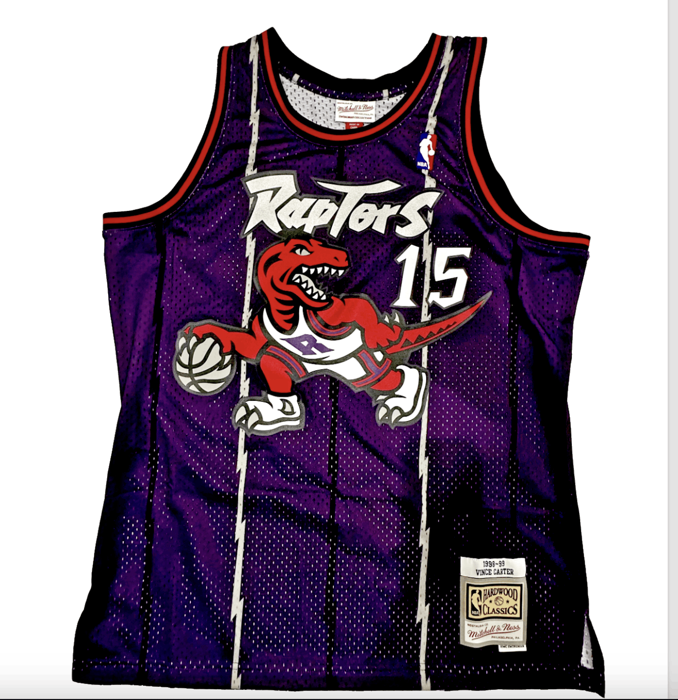 Toronto Raptors NBA Jersey sz L