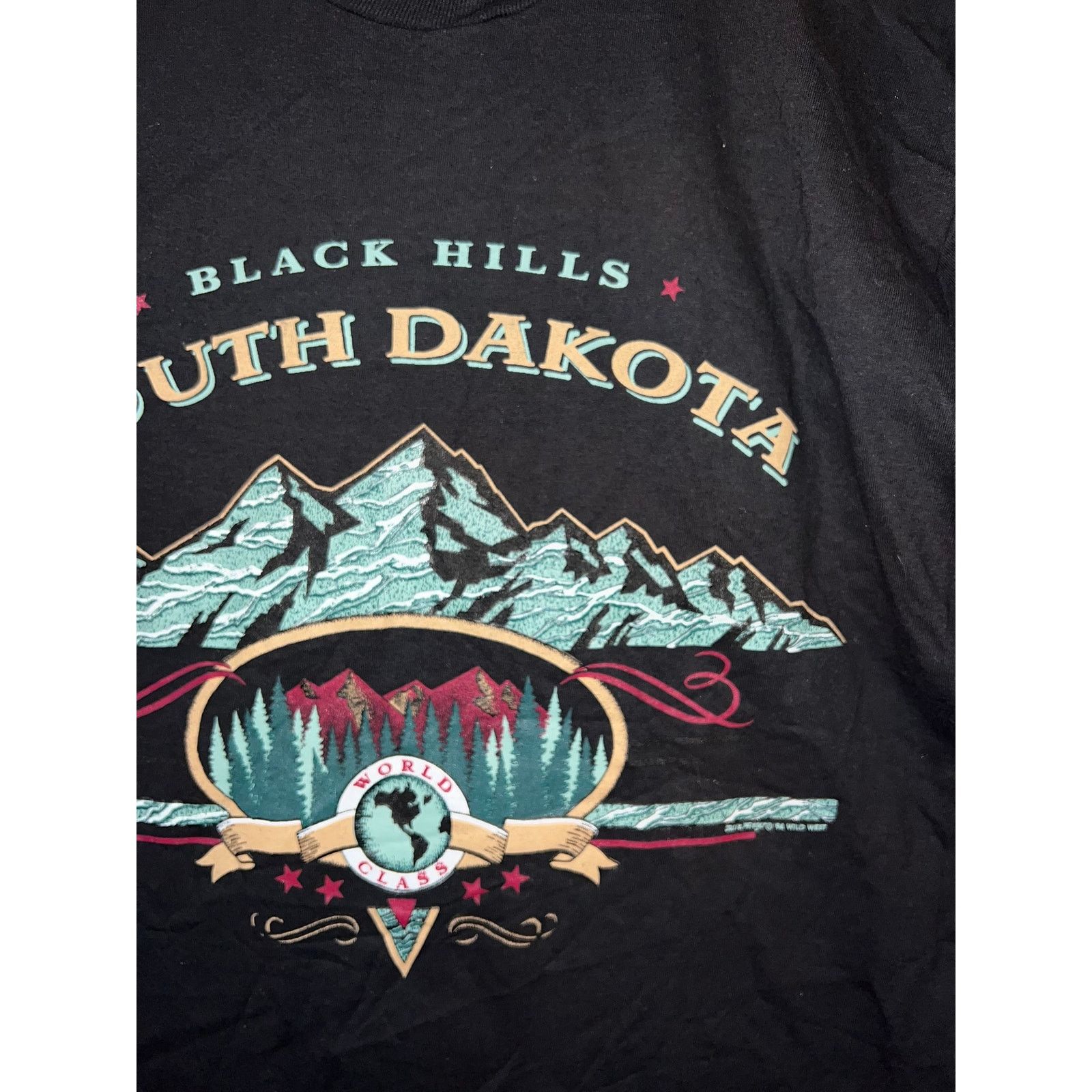 Jerzees 90s Vintage Black Hills SD South Dakota World Class Shirt L Size US L / EU 52-54 / 3 - 5 Thumbnail