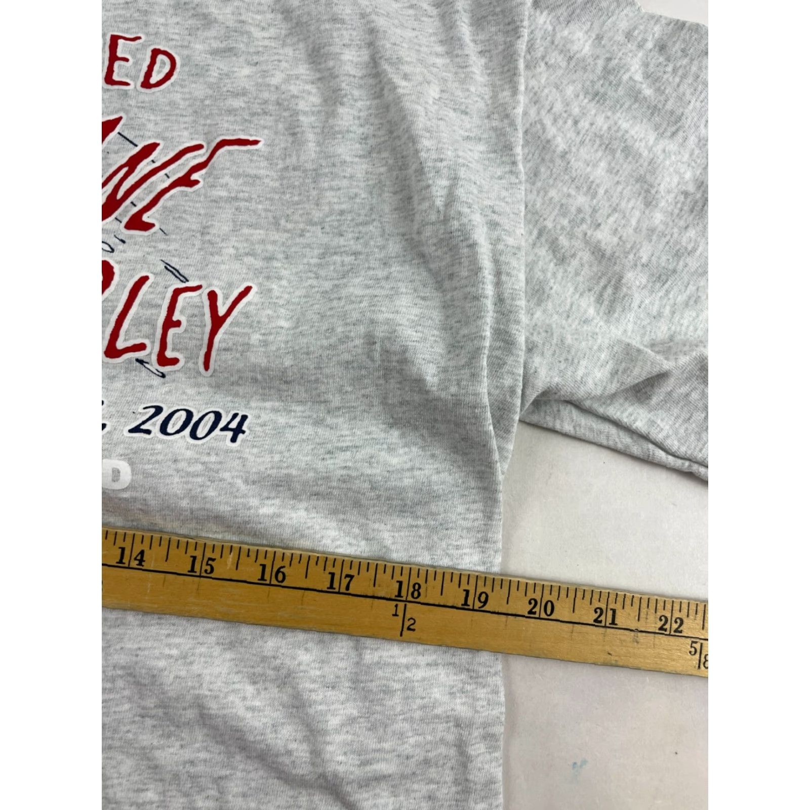 Fruit Of The Loom Fruit of the Loom T-Shirt Mens Size L Gray Heather I Survived Hurricane Charley Shirt Mens L Gray Heather Size US L / EU 52-54 / 3 - 4 Thumbnail