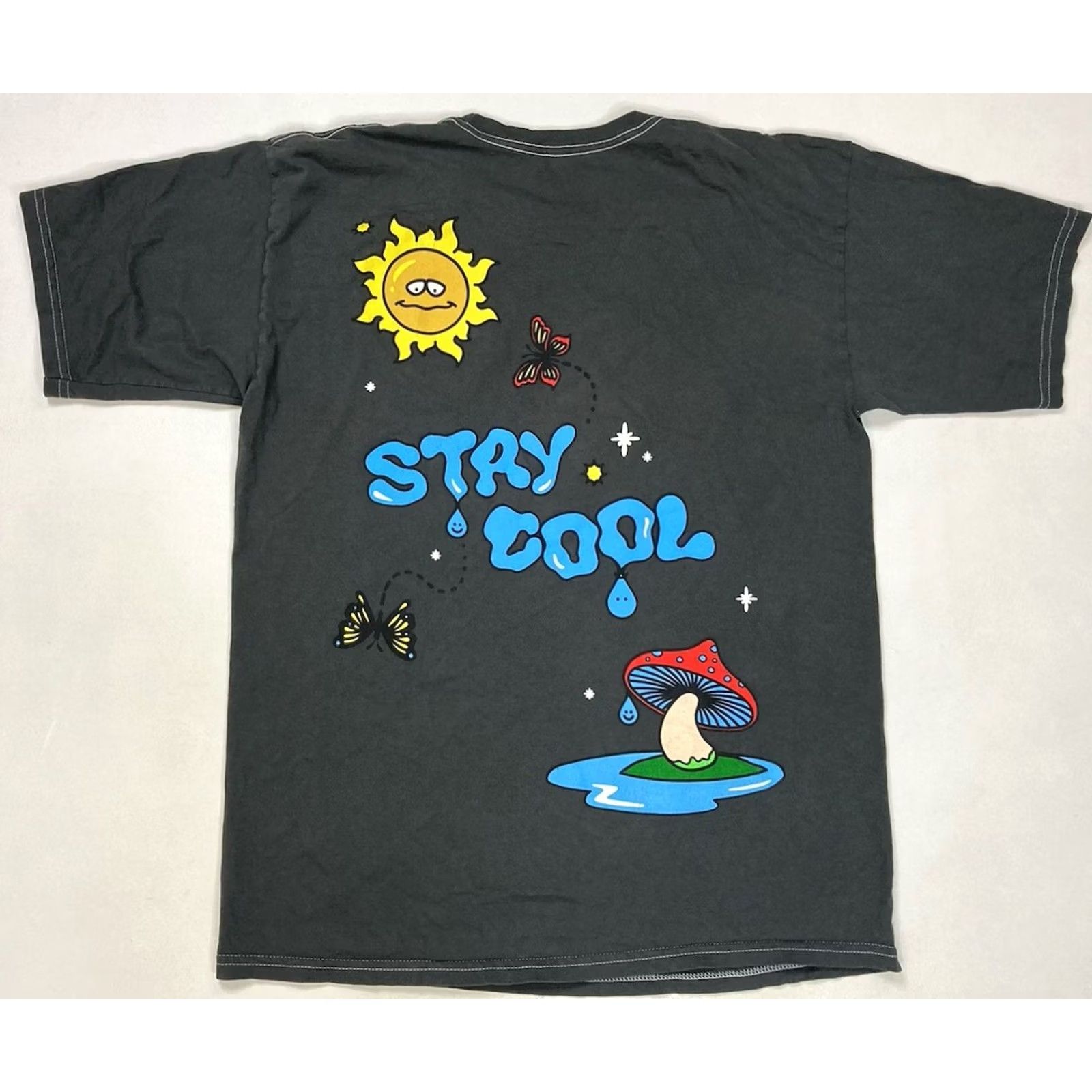 Pacsun Pacsun Graphic Print T-Shirt Men Large Gray Flower Sun Mushroom Crew Neck Short Sleeve PacSun Logo All Seasons Size US L / EU 52-54 / 3 - 3 Thumbnail