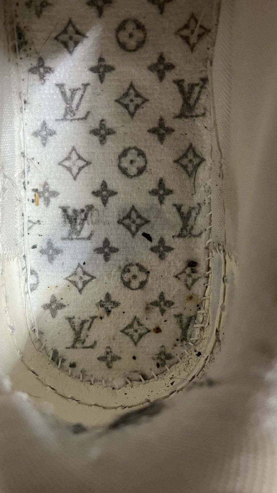 Louis Vuitton Louis Vuitton Beige Skates Size US 9 / EU 42 - 17 Thumbnail