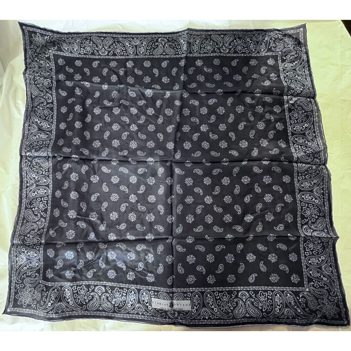 Robert Talbott ROBERT TALBOTT Fine Silk Scarf - Blue - Semi Sheer Size ONE SIZE - 4 Thumbnail