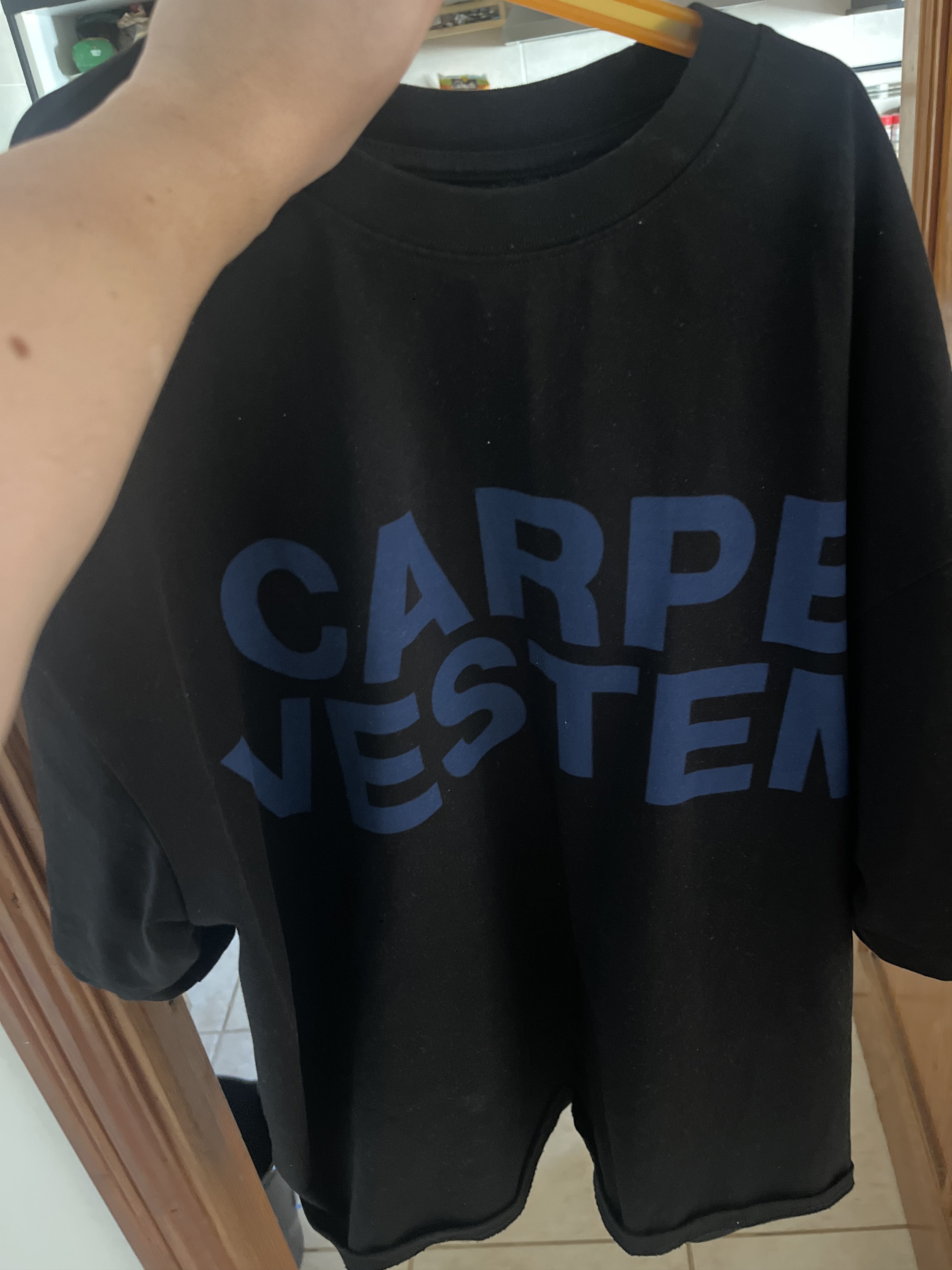 Other Carpe VÉSTEM T-shirt, size L. Worn once and never again. Size US L / EU 52-54 / 3 - 2 Thumbnail