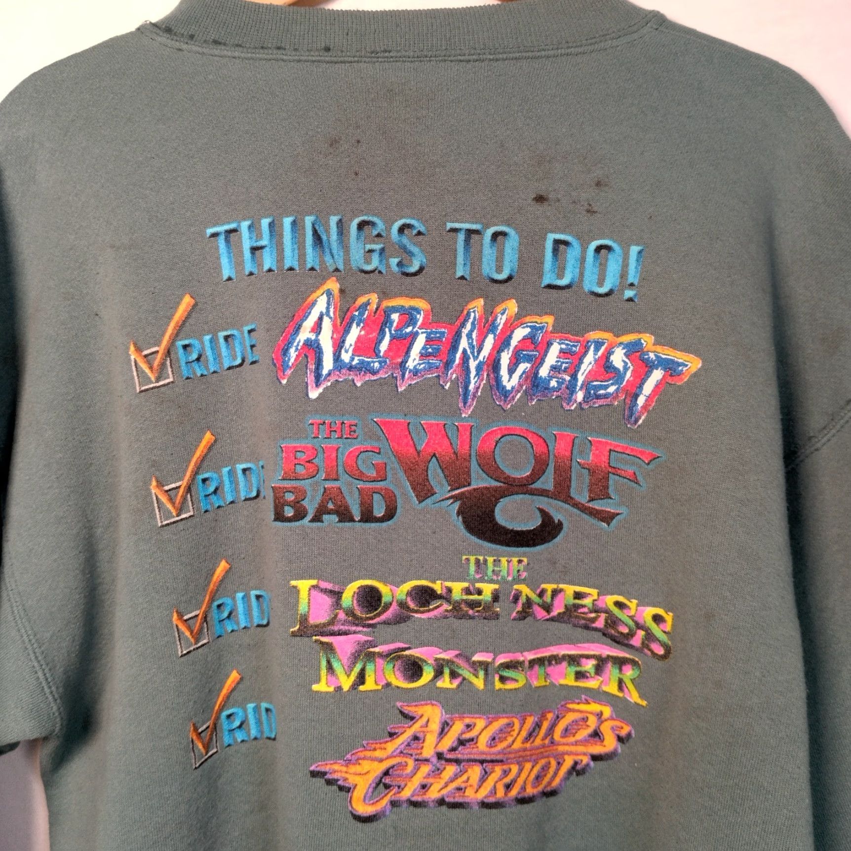 Tultex VINTAGE Busch Gardens Williamsburgh VA Sweatshirt L Cotton Blend Distressed Graphic 90s Roller Coaster Tultex Men Size US L / EU 52-54 / 3 - 2 Thumbnail