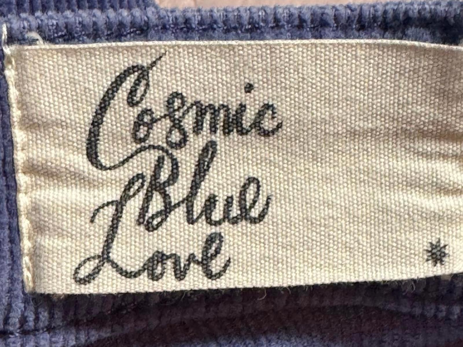 Other Cosmic Blue Love Navy Blue Corduroy Pants with Button Fly Size 32" / US 10 / IT 46 - 3 Thumbnail