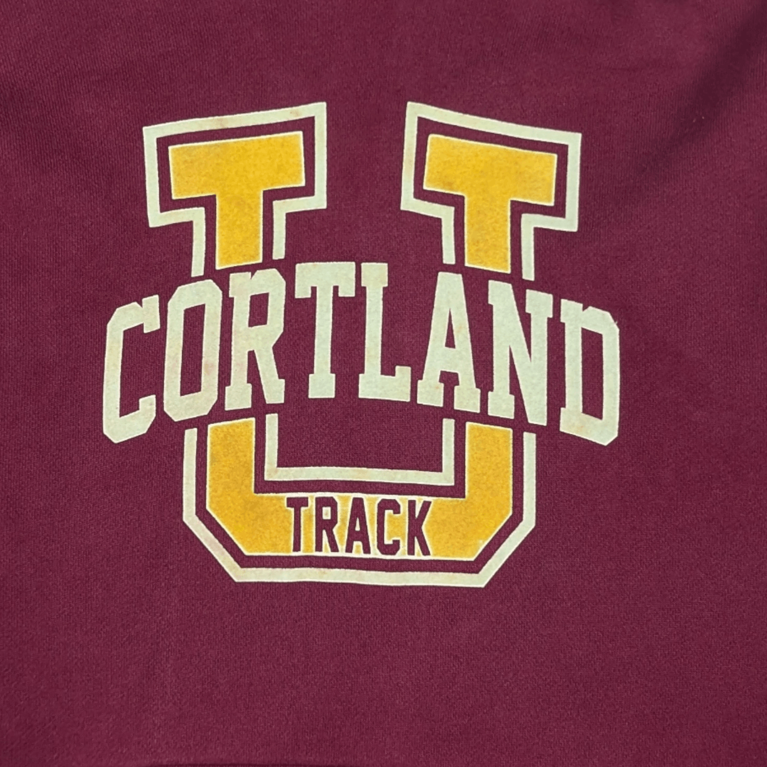 Champion Vintage CHAMPION University Cortland Hoodies Size US M / EU 48-50 / 2 - 9 Thumbnail