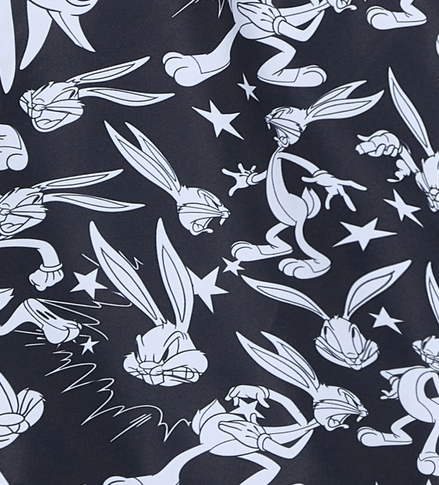 Other BNWT SS25 JIMMY LION x LOONEY TUNES BUGS BUNNY SWIM SHORTS S Size US 30 / EU 46 - 11 Thumbnail