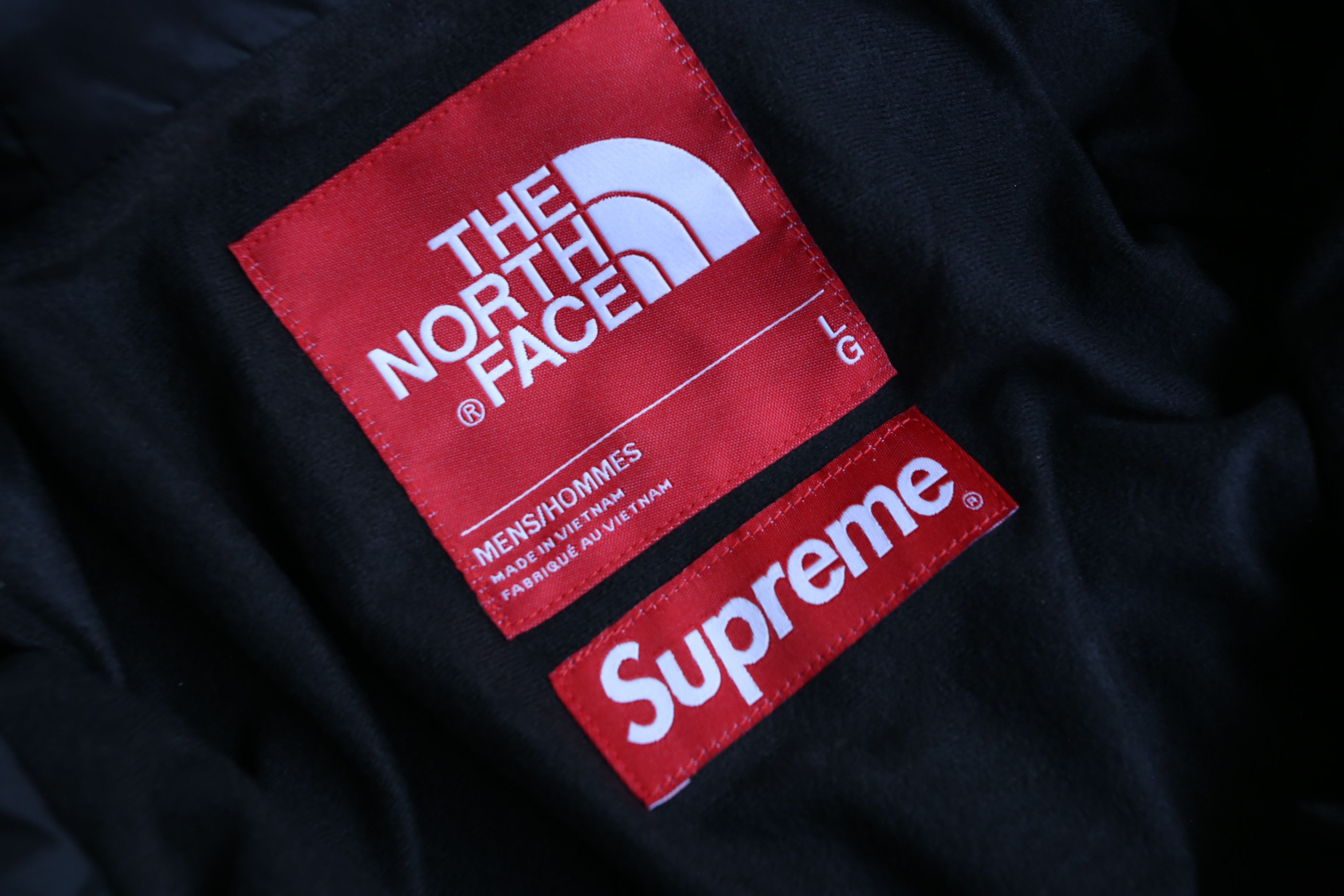 Supreme × The North Face Supreme - The North Face - S/S 18 - Metallic Mountain Parka Size US L / EU 52-54 / 3 - 6 Thumbnail