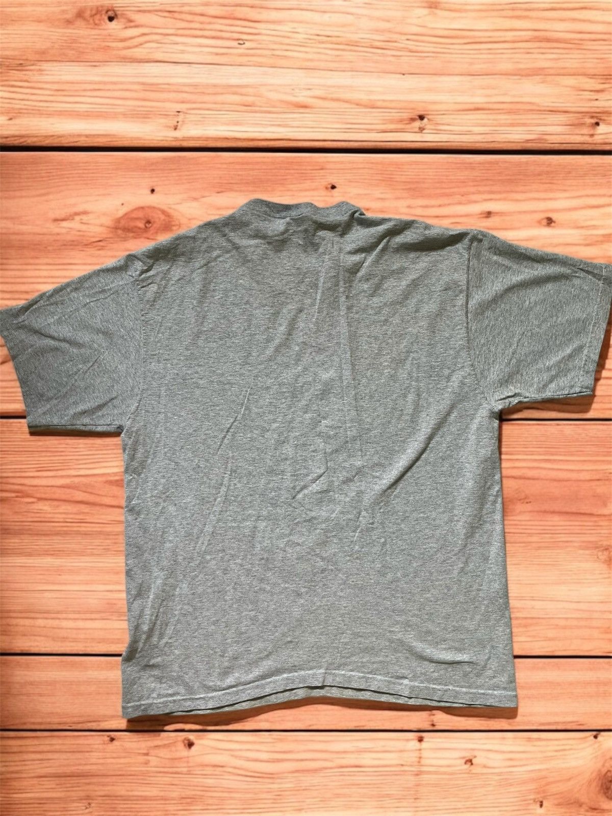 Fruit Of The Loom Moutain Lion Graphic T Size US XL / EU 56 / 4 - 3 Thumbnail