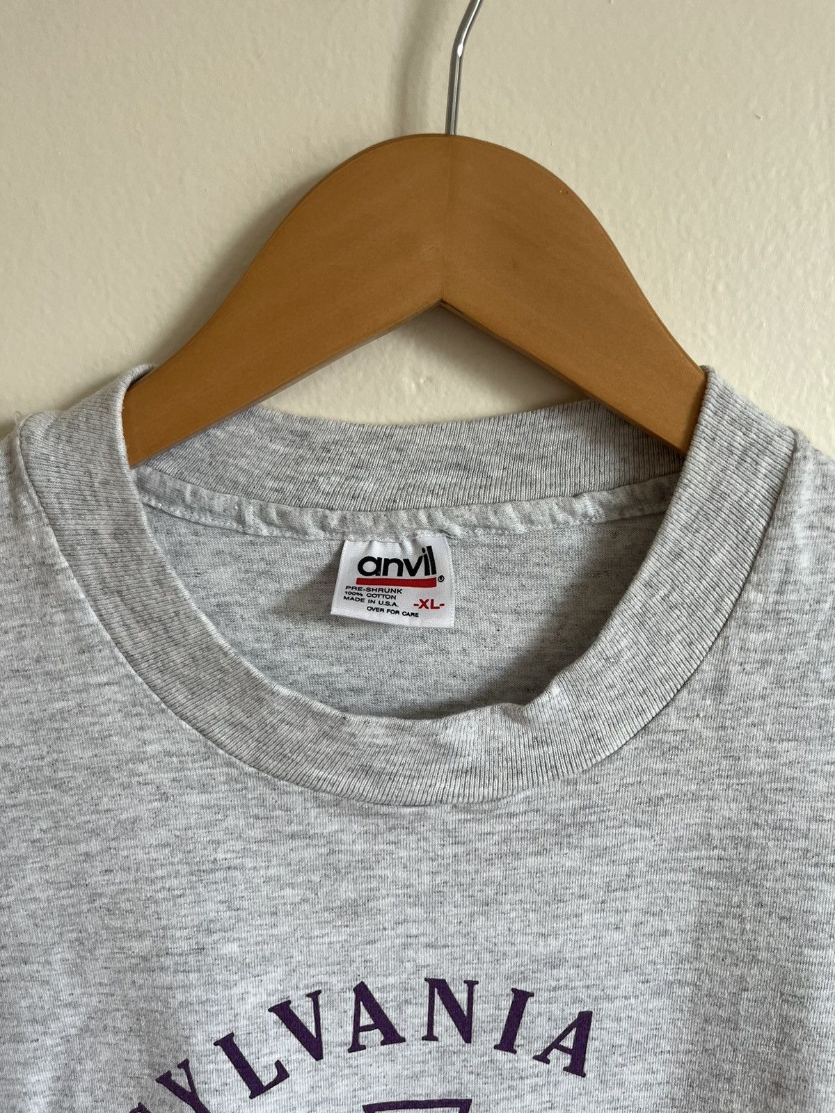 Anvil × Vintage Vintage 90’s Pennsylvania State Envirothon T-Shirt Size US XL / EU 56 / 4 - 3 Thumbnail