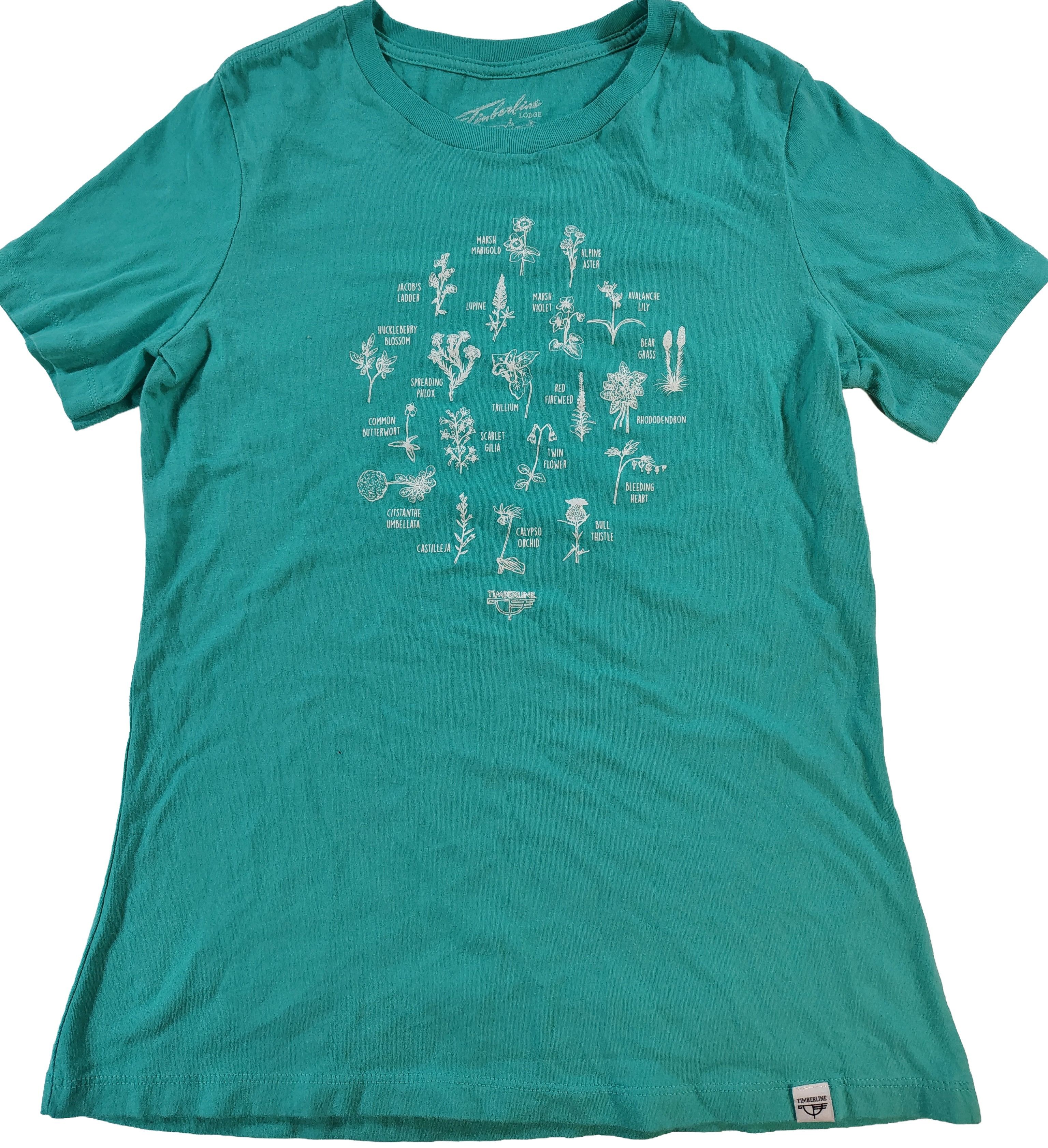 Other Women's Small Sea Green Timberline Lodge Foliage T-Shirt Size S / US 4 / IT 40 - 1 Thumbnail