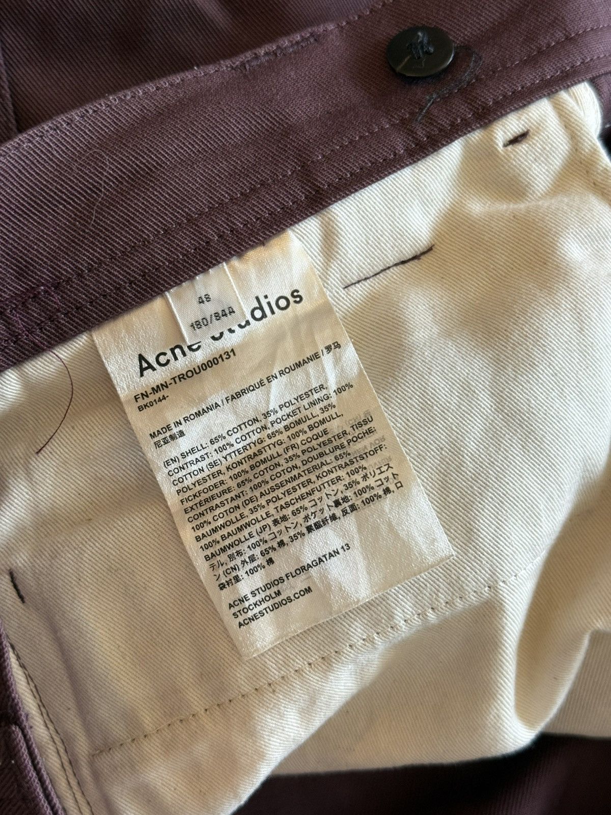 Acne Studios Acne Studios Cargo Pants “Water the mirror of science” Benee Size US 32 / EU 48 - 16 Thumbnail