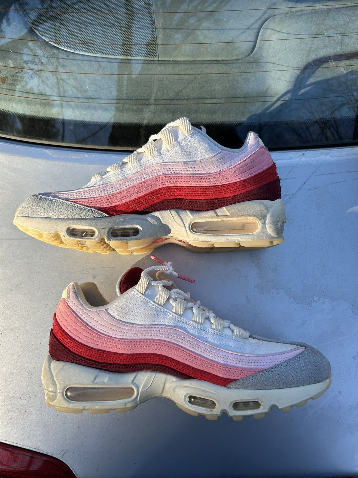 Airmax 95 Anatomy of Air