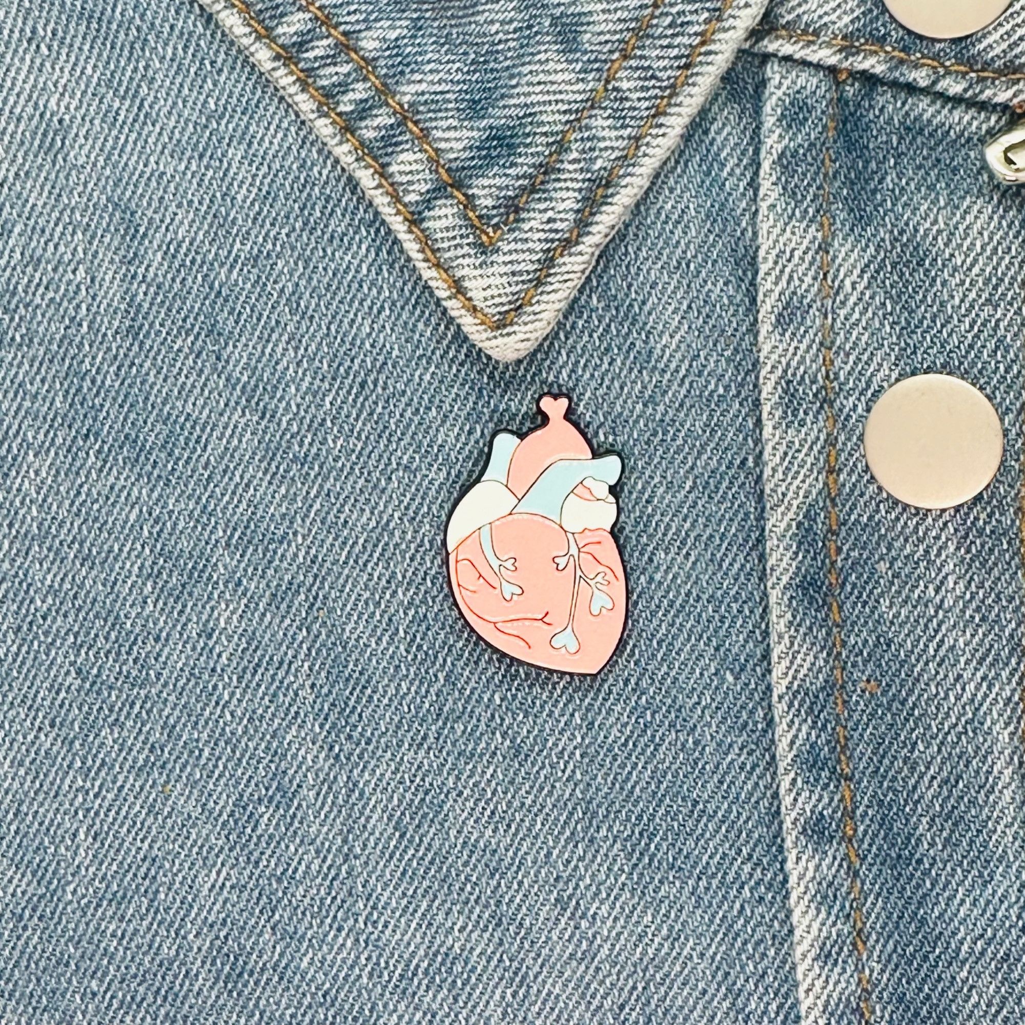 Other ⭐Anatomical Human Heart Shape Enamel Pin Brooch Pink Blue T Size ONE SIZE - 1 Thumbnail