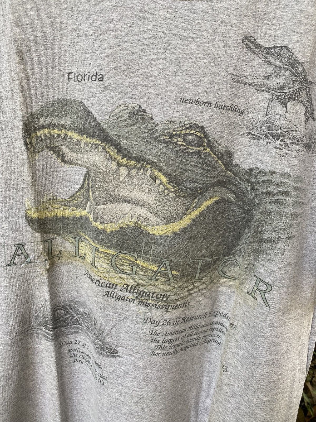 Gildan × Vintage ALLIGATOR VINTAGE Size US XL / EU 56 / 4 - 2 Thumbnail