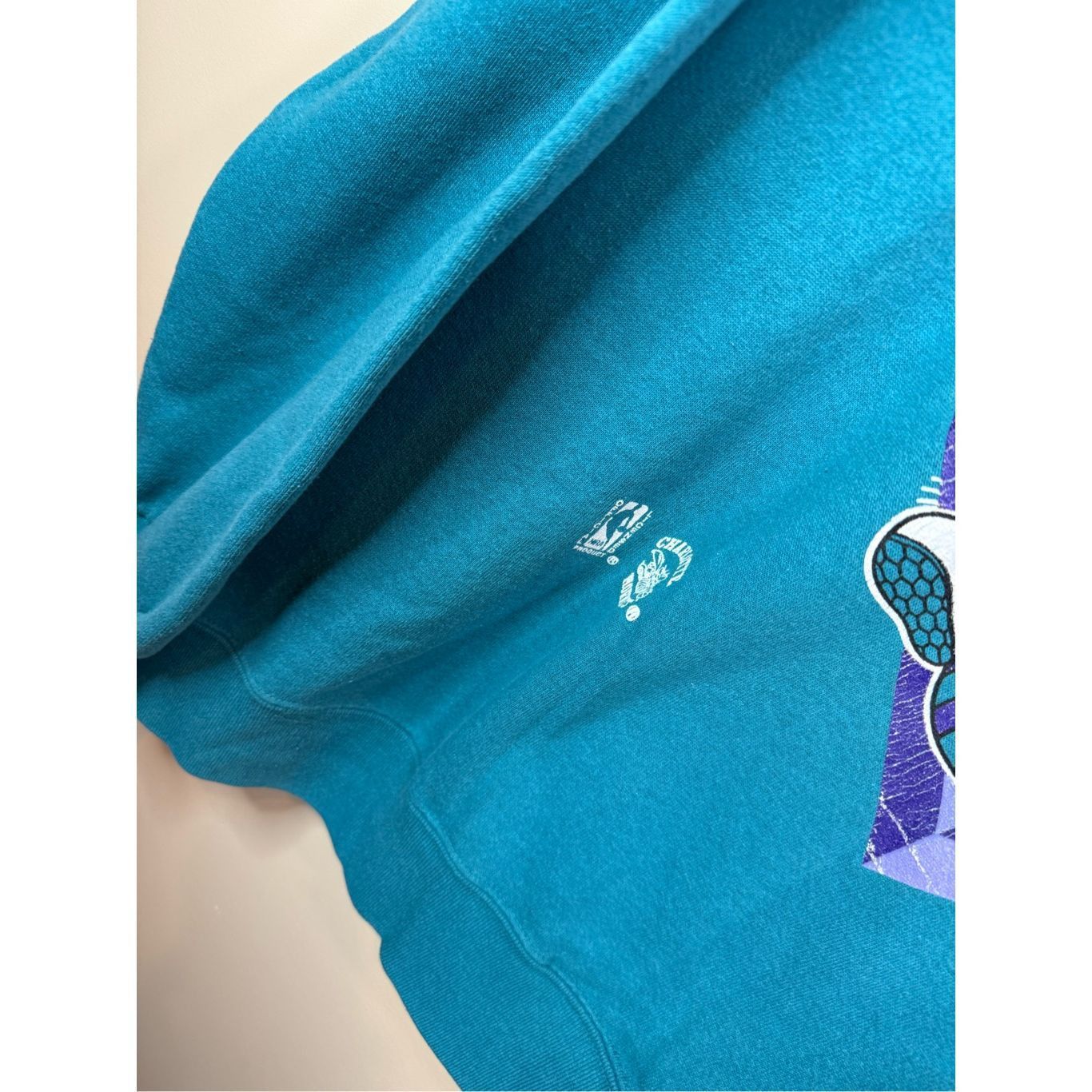 Nutmeg Size L - Vintage 1990s Charlotte Hornets Nutmeg Sweatshirt C Size US L / EU 52-54 / 3 - 3 Thumbnail