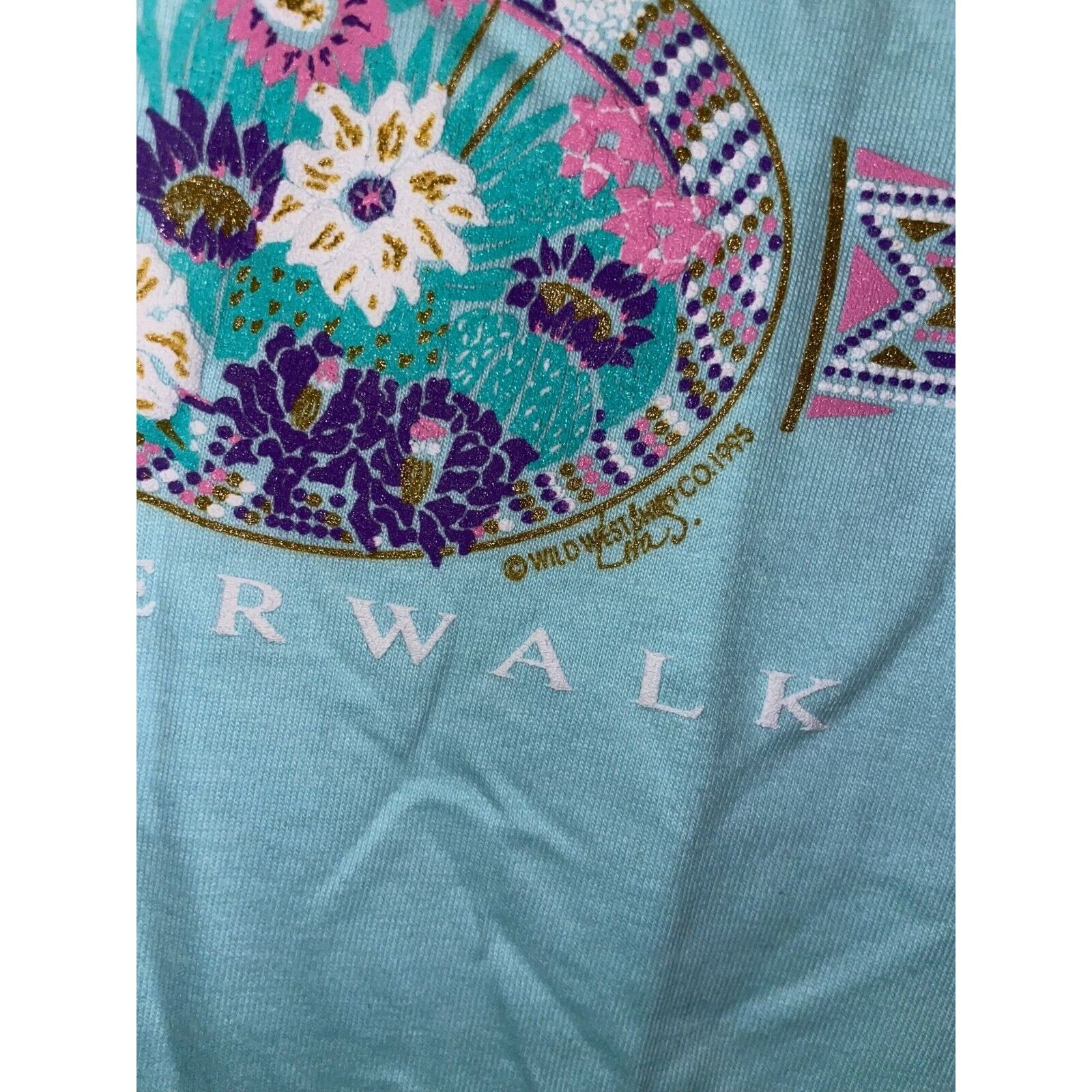 Jerzees Vintage Riverwalk Shirt San Antonio Desert Flower Tee 90s L Size US L / EU 52-54 / 3 - 6 Thumbnail