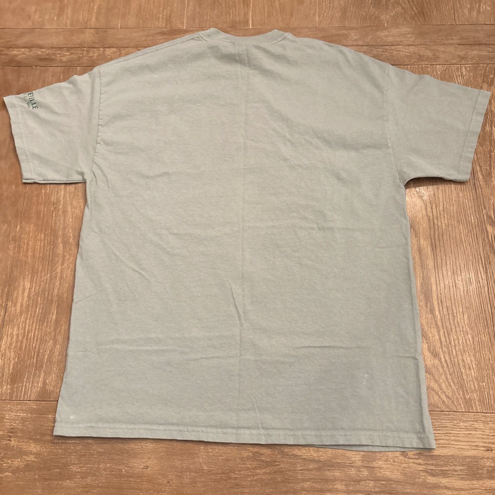 Vintage VINTAGE Hanes Beefy T Green Frog Dragonfly T-Shirt XL Coupeville WA Whidbey Island Unisex Adults Size US XL / EU 56 / 4 - 7 Thumbnail