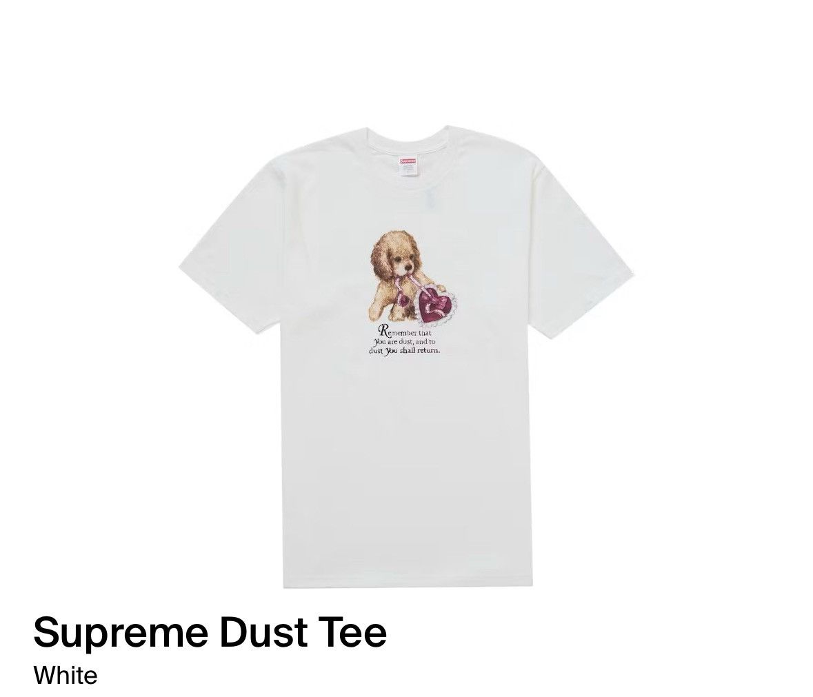 Supreme Supreme Dust T-Shirt Size US XL / EU 56 / 4 - 1 Thumbnail