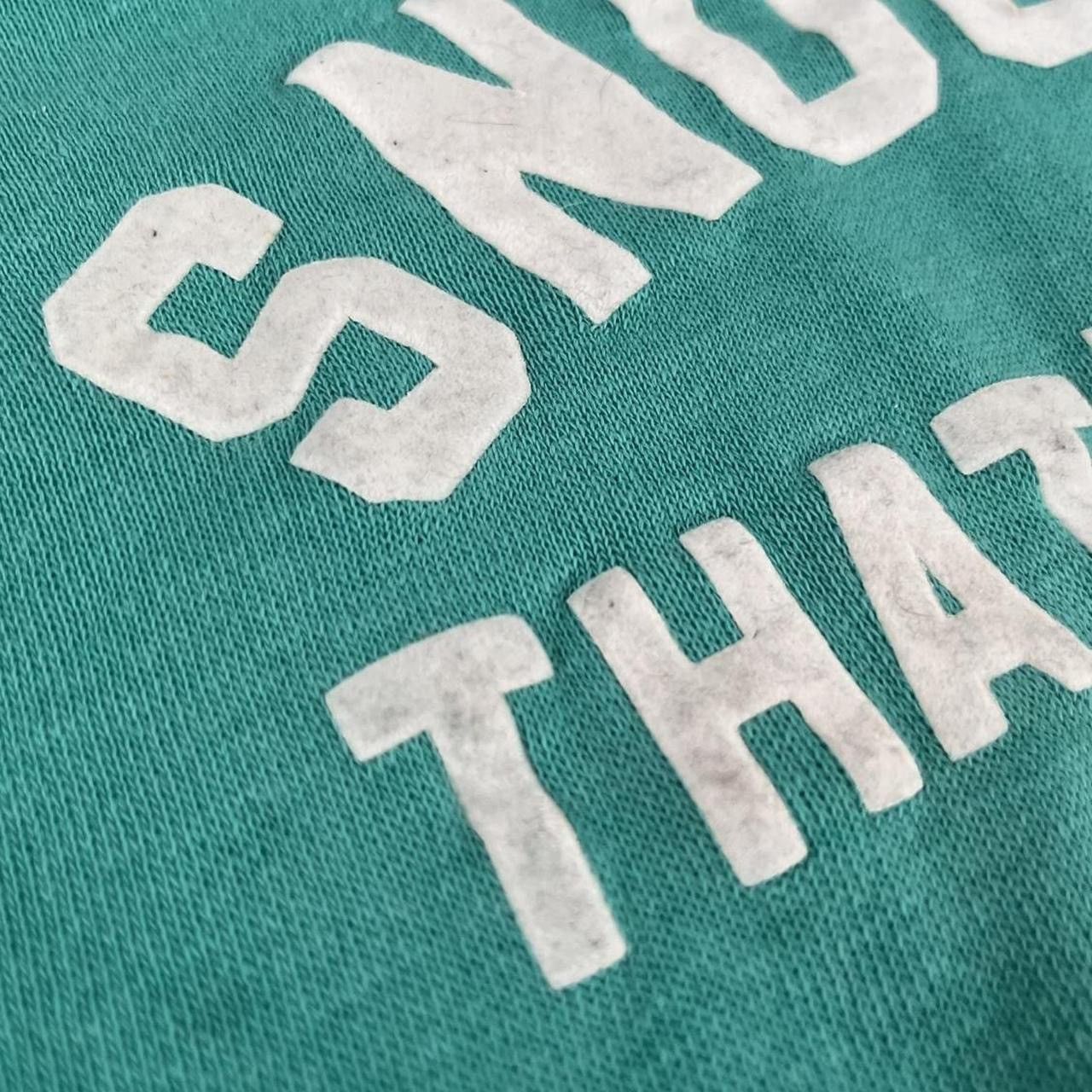 1980's JCPenney Raglan Felt Printed Crewneck Snooker Teal