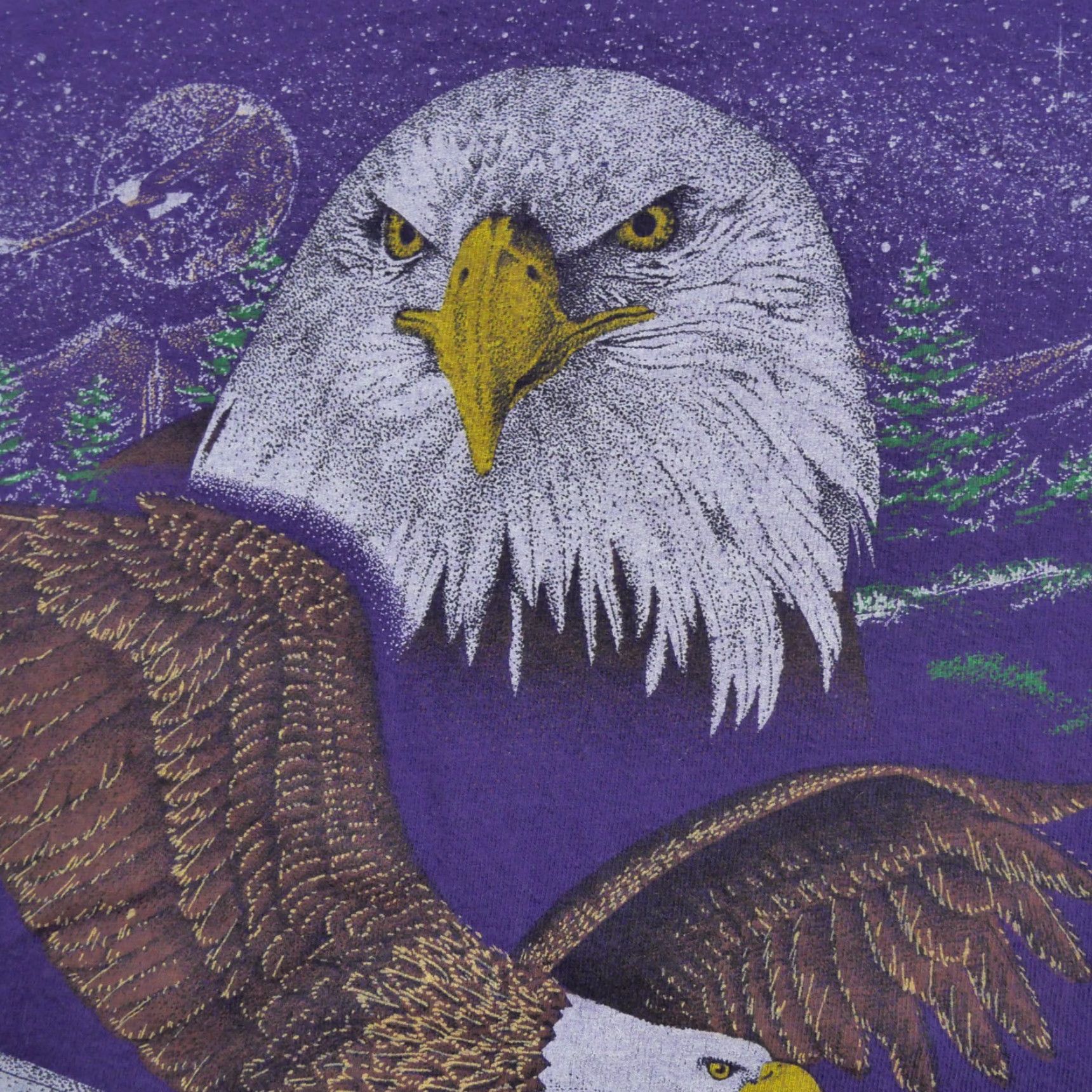 Vintage VINTAGE Alaska T Shirt Mens Large Purple Eagle Nature 90s Shirt Size US L / EU 52-54 / 3 - 4 Thumbnail