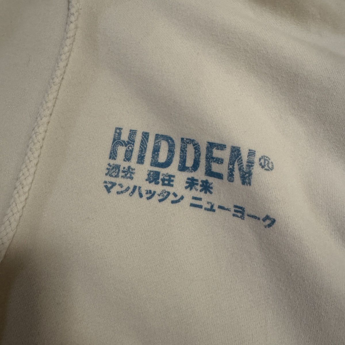HIDDEN HIDDEN NY Paisley Logo hoodie Size US M / EU 48-50 / 2 - 3 Thumbnail