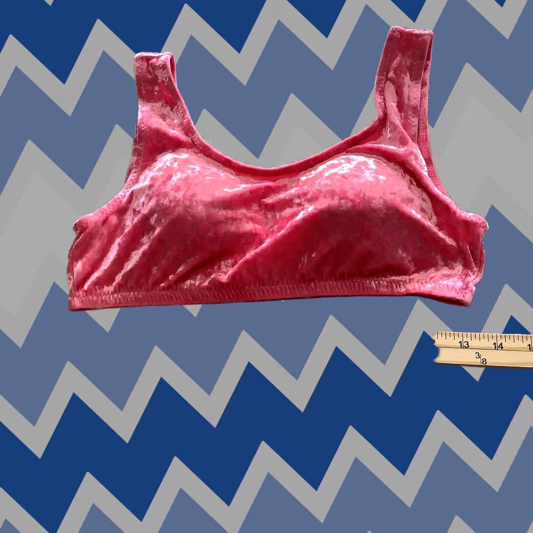 Velvet Birds of Prey Pink Velvet Sports Bra M Womens Activewear Velvety Velvet Bra Size M Pink Birds of Prey Sports Bra Women M Size ONE SIZE - 1 Thumbnail
