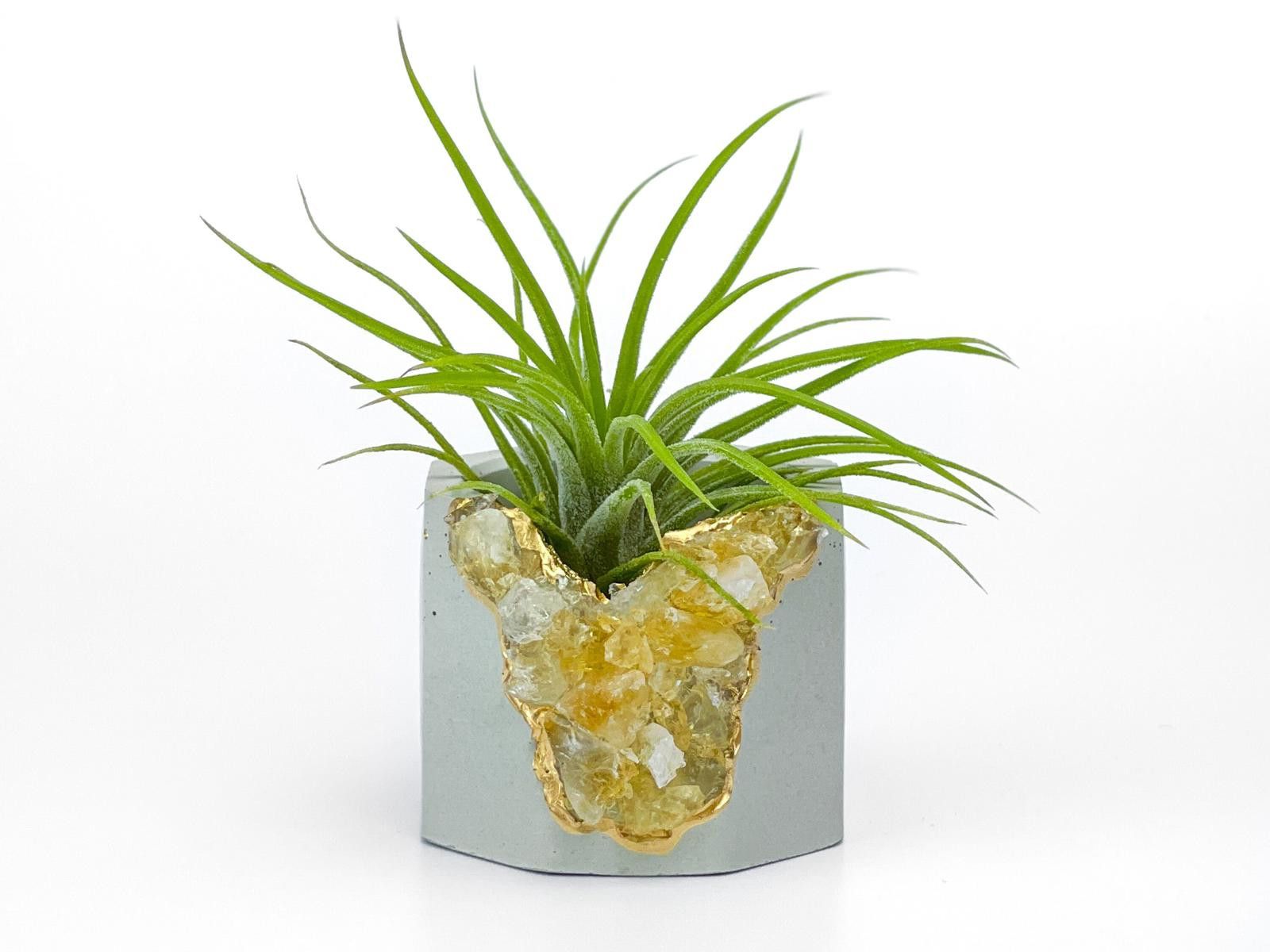 Other Raw Citrine Succulent Geode Planter Crystal Air Plant Holder Size ONE SIZE - 3 Thumbnail