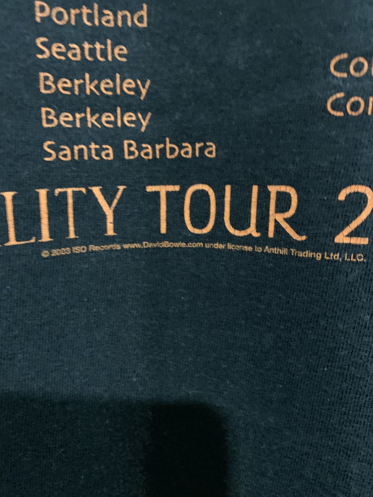 Band Tees Vintage 2003 David Bowie Reality Tour band tee shirt Size US L / EU 52-54 / 3 - 7 Thumbnail