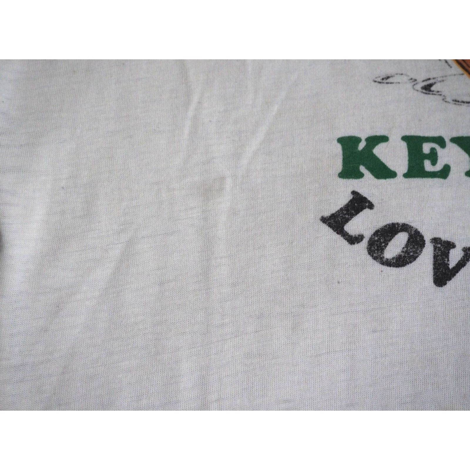 Hanes VTG 80s Hanes Tee T-Shirt M Beige Graphic Duck Travel 50/50 Cotton Blend Men Size US M / EU 48-50 / 2 - 7 Thumbnail
