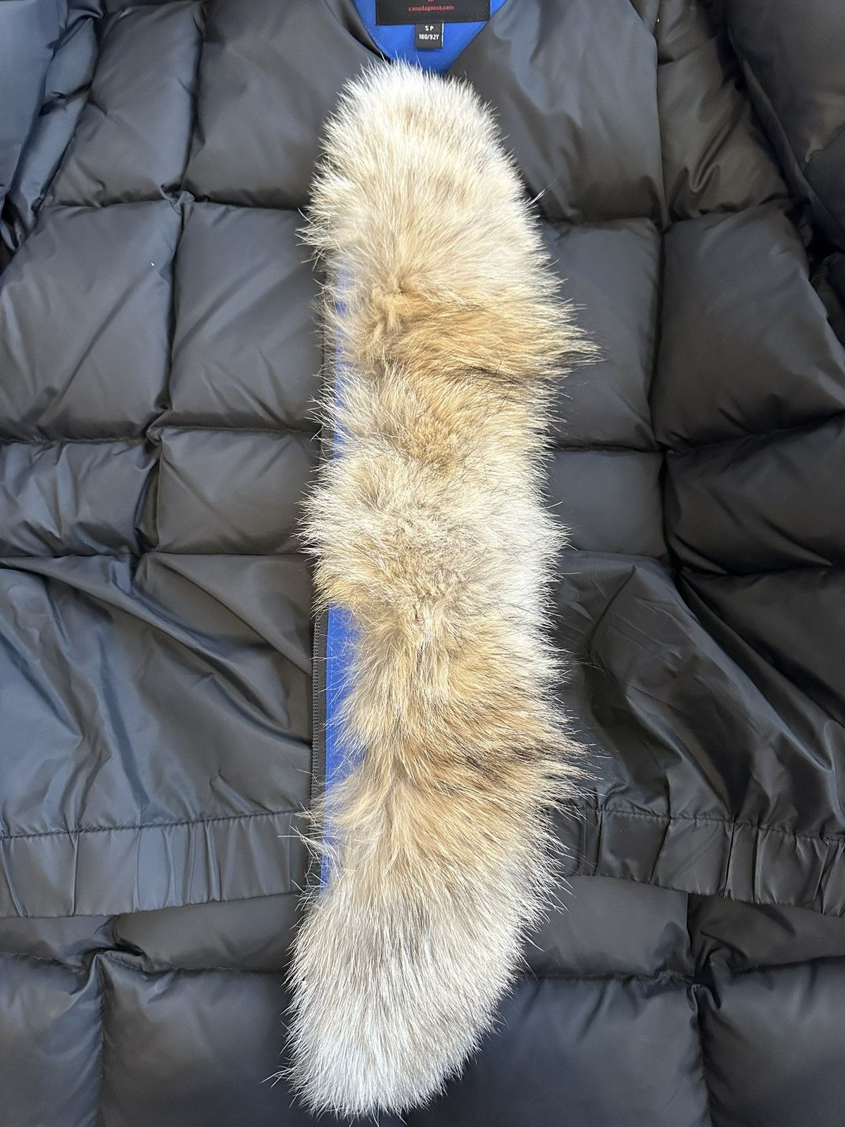 Canada Goose Polar Bear Initiative Expedition Parka Size US S / EU 44-46 / 1 - 15 Thumbnail