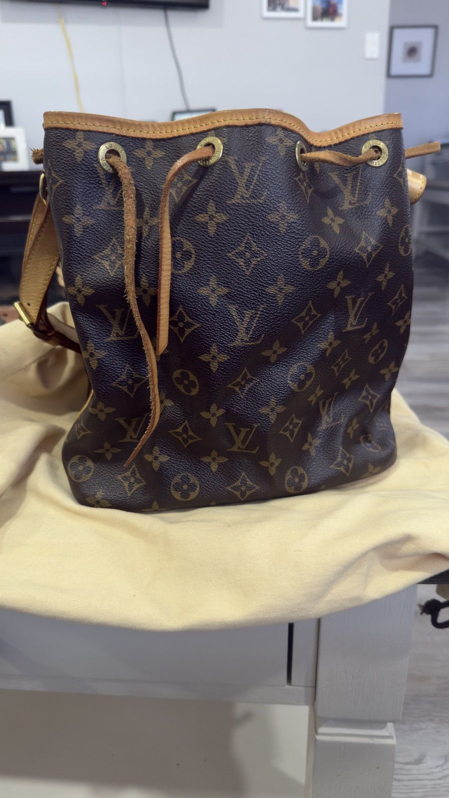Louis Vuitton Louis Vuitton Noé Monogram Bucket Bag (Brown Leather Trim) Size ONE SIZE - 1 Thumbnail
