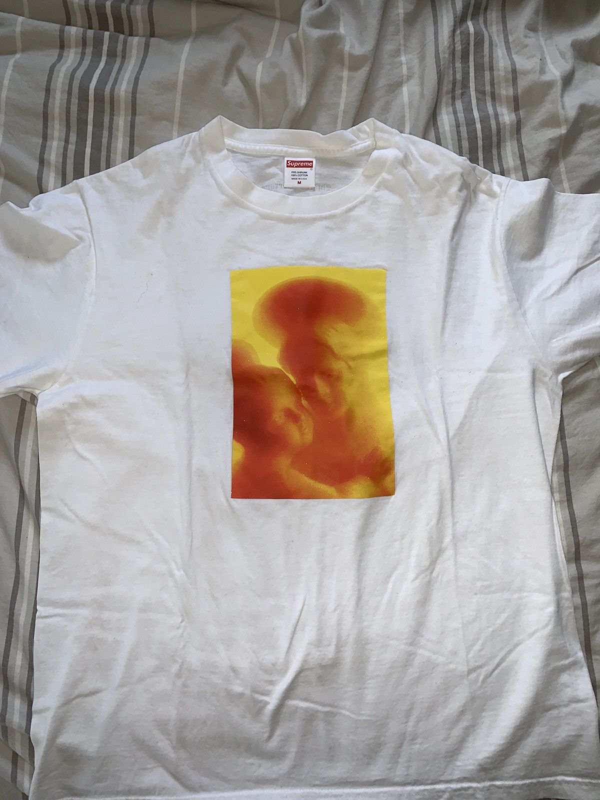 Supreme x Andres Serrano Madonna And Child Tee White FW17 Tops