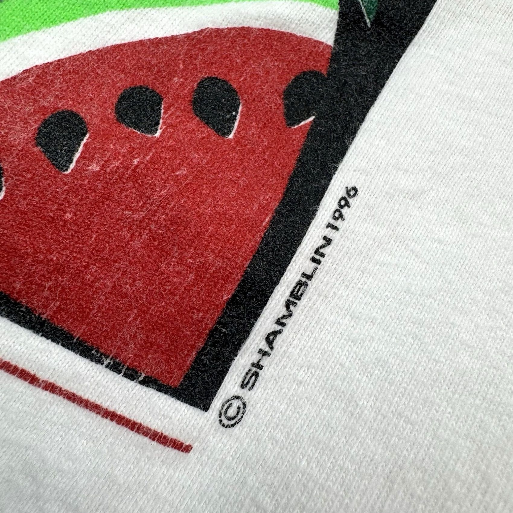Hanes VINTAGE Hanes Watermelon Lake Eufaula Alabama T Shirt Adult XL White Cotton Nature Outdoor Summer 90s Mens Size US XL / EU 56 / 4 - 4 Thumbnail